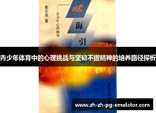青少年体育中的心理挑战与坚韧不拔精神的培养路径探析