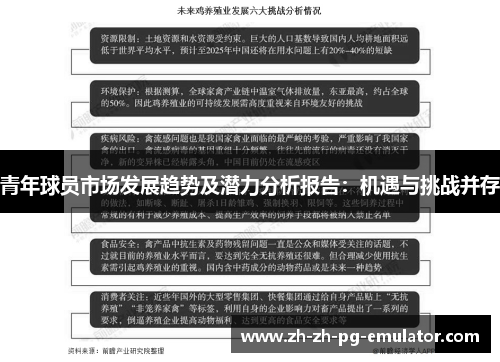 青年球员市场发展趋势及潜力分析报告：机遇与挑战并存