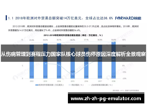 从伤病管理到赛程压力国家队核心球员伤停原因深度解析全景观察 从伤病管理到赛程压力国家队核心球员伤停原因深度解析全景观察